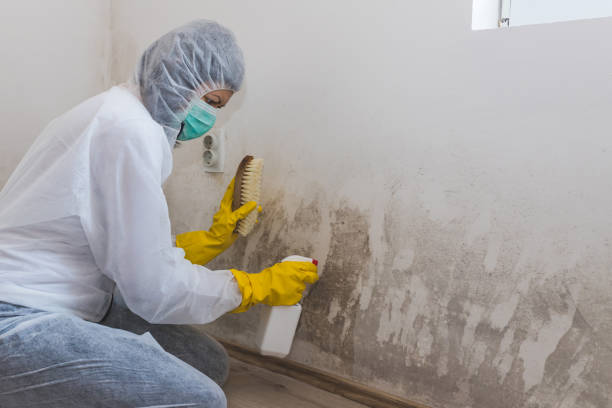 Asbestos and Lead Testing During Mold Inspection in Stanley, VA